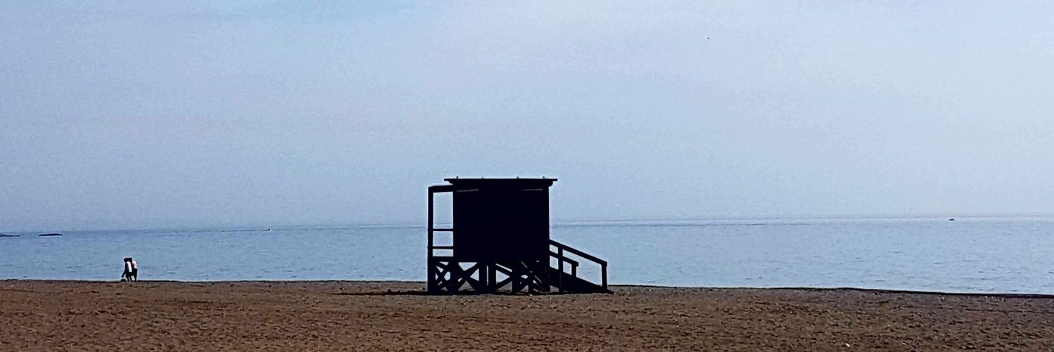 CAROLA393's profile banner image