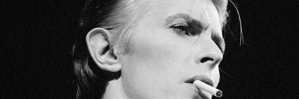 JaneCStevenson Profile Banner