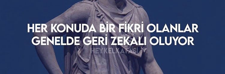 T.C Mehtap Erbas banner