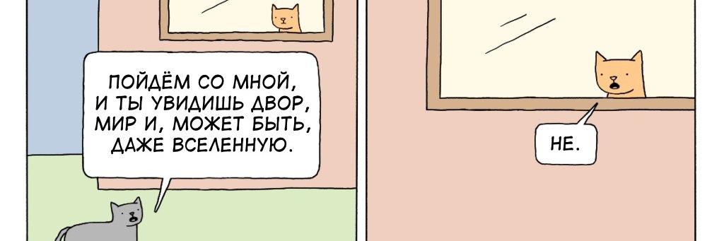 томушкек banner