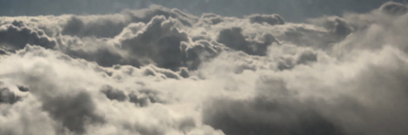 MingoReagan's profile banner image
