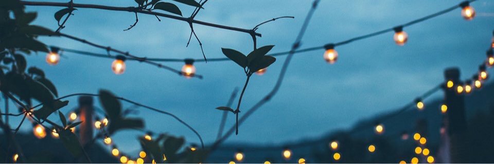 ShivLaaa's profile banner image