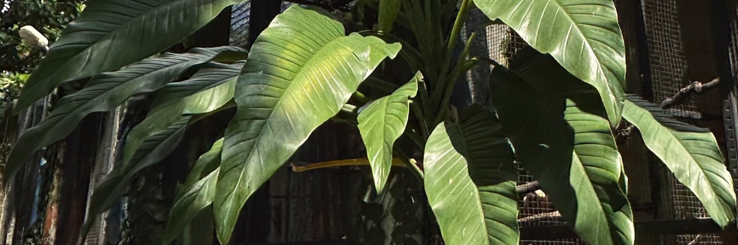 as long as you’re happy..!!! banner