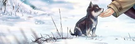 snowdrop_yon's profile banner image