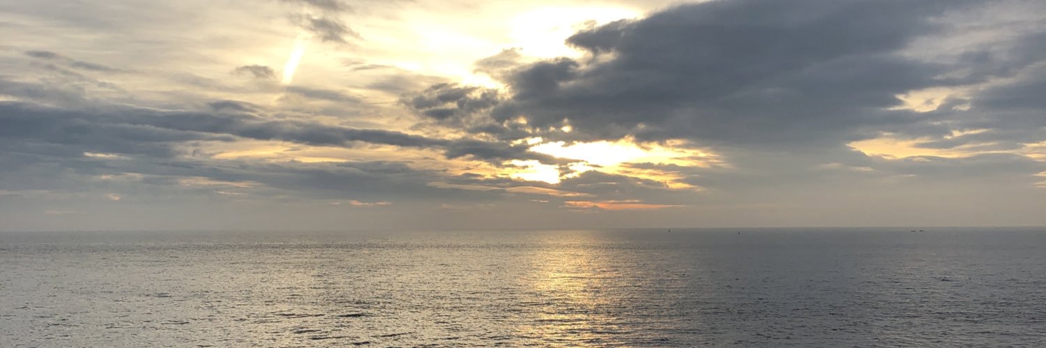 brandsth_'s profile banner image