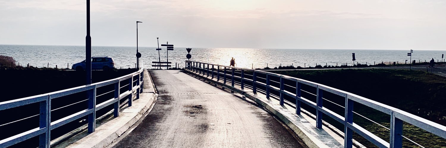sander banner