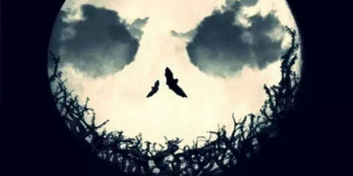 aldoo_mata's profile banner image