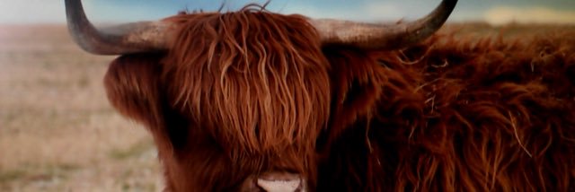 matthew_barrack's profile banner image
