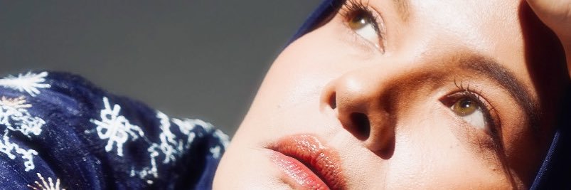 Terry Shahab banner