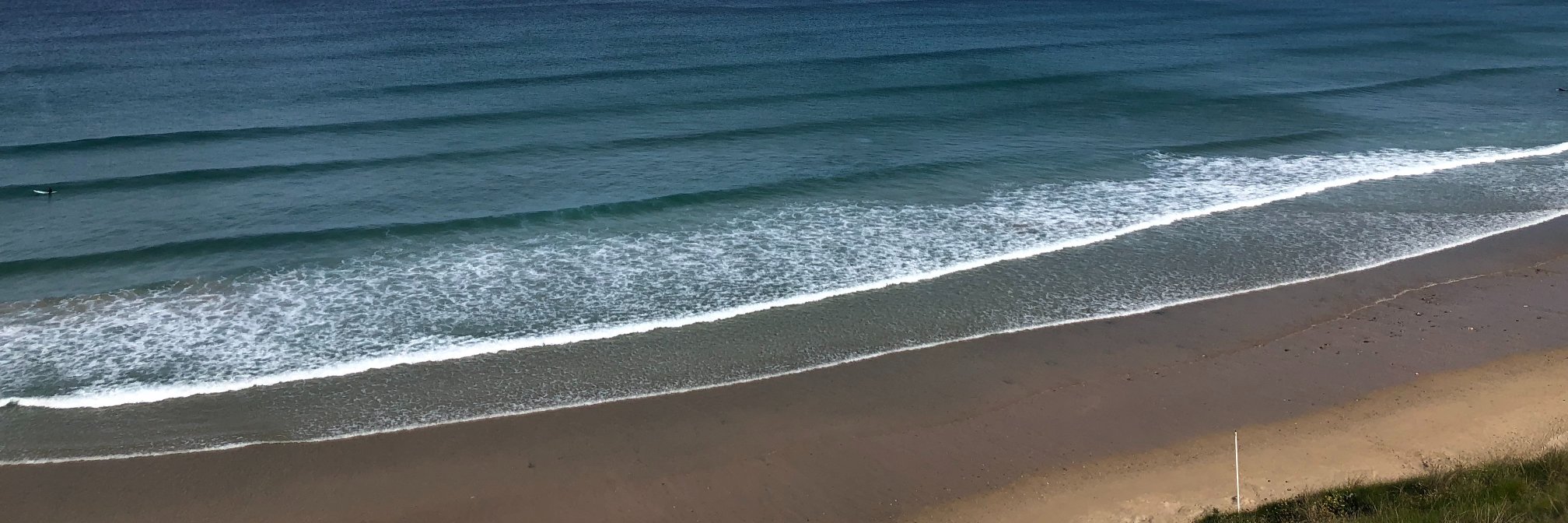 Sara Pitchford banner