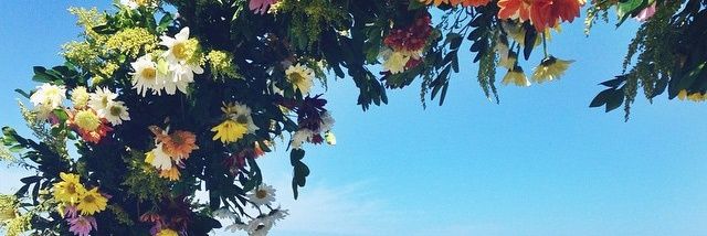 _mandybeatriz's profile banner image