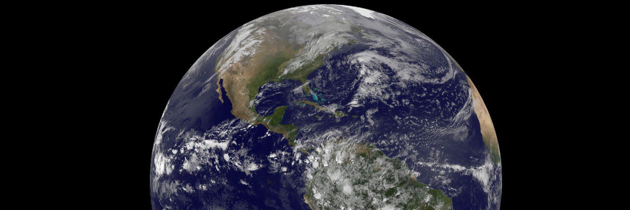 Harry Ballmann banner