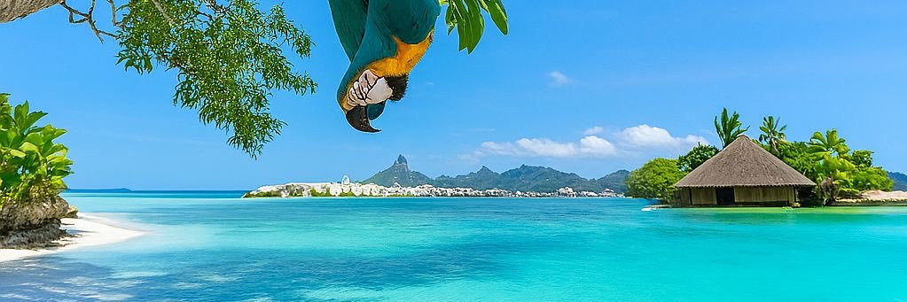 Dr. Matt Stephenson banner