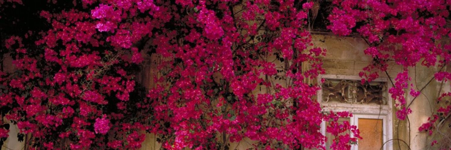 Tweets with replies by Selcan Çınar (@selcancinar) | Twitter
