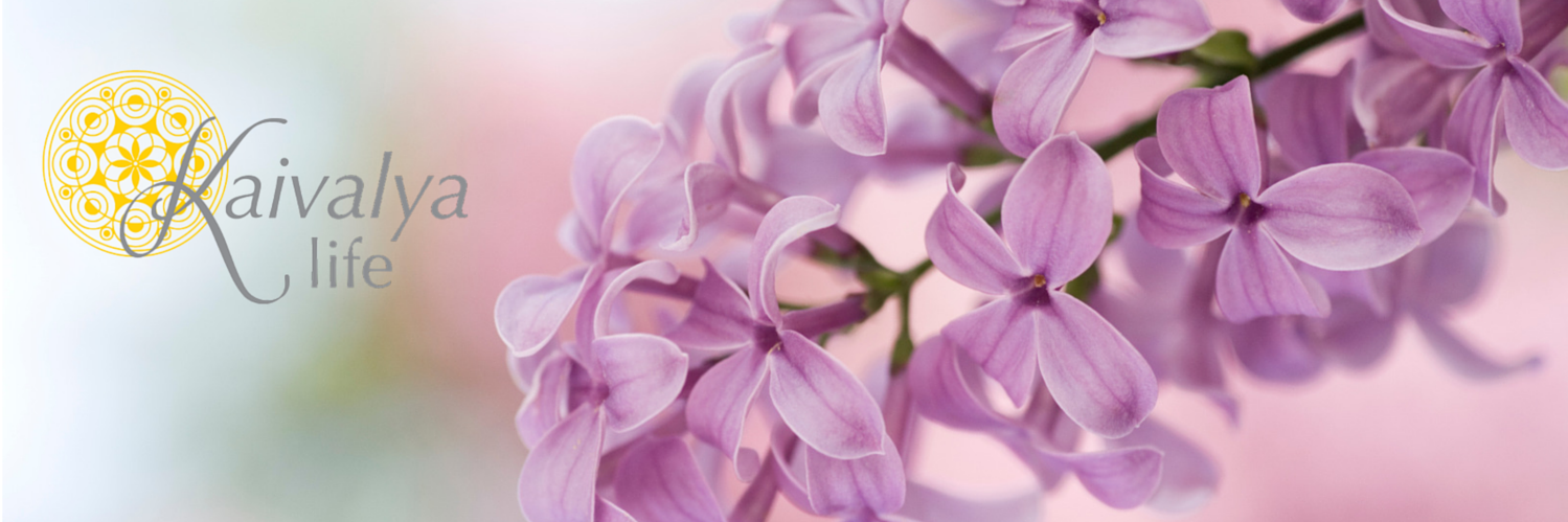 KaivalyaLife's profile banner image