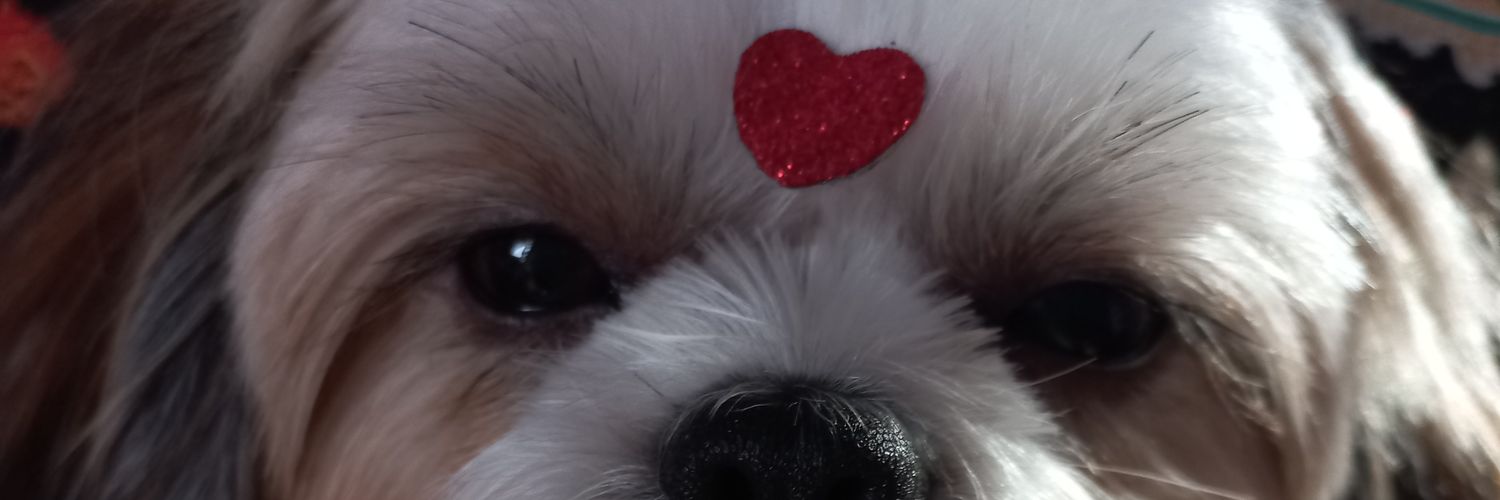 thamiojo's profile banner image