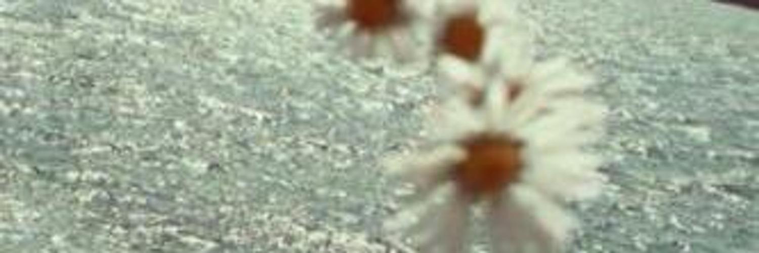 pucba's profile banner image