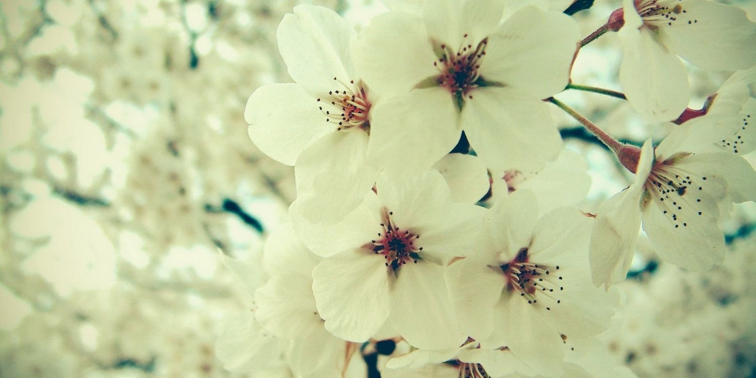 RobinLeeuwis's profile banner image