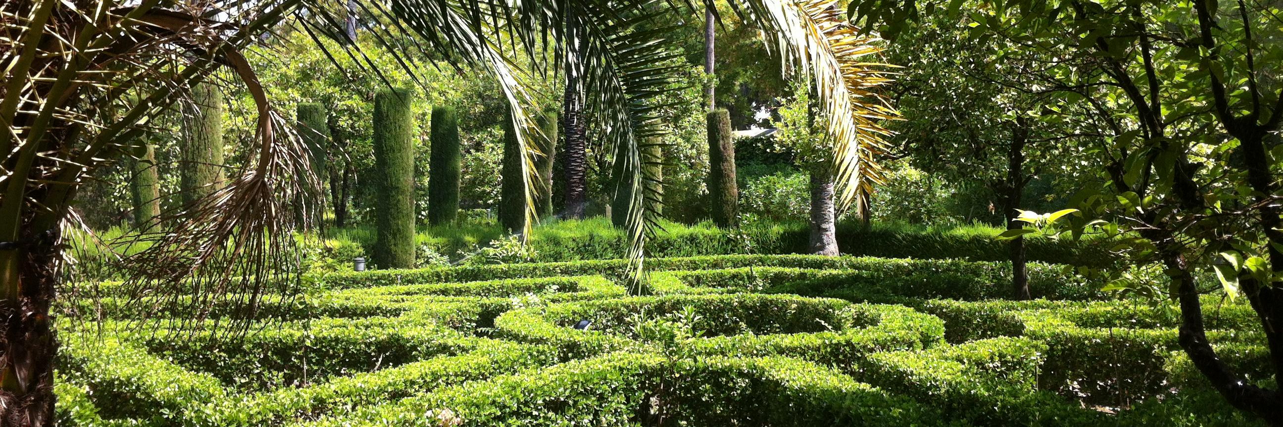 Rose Gazagnaire banner