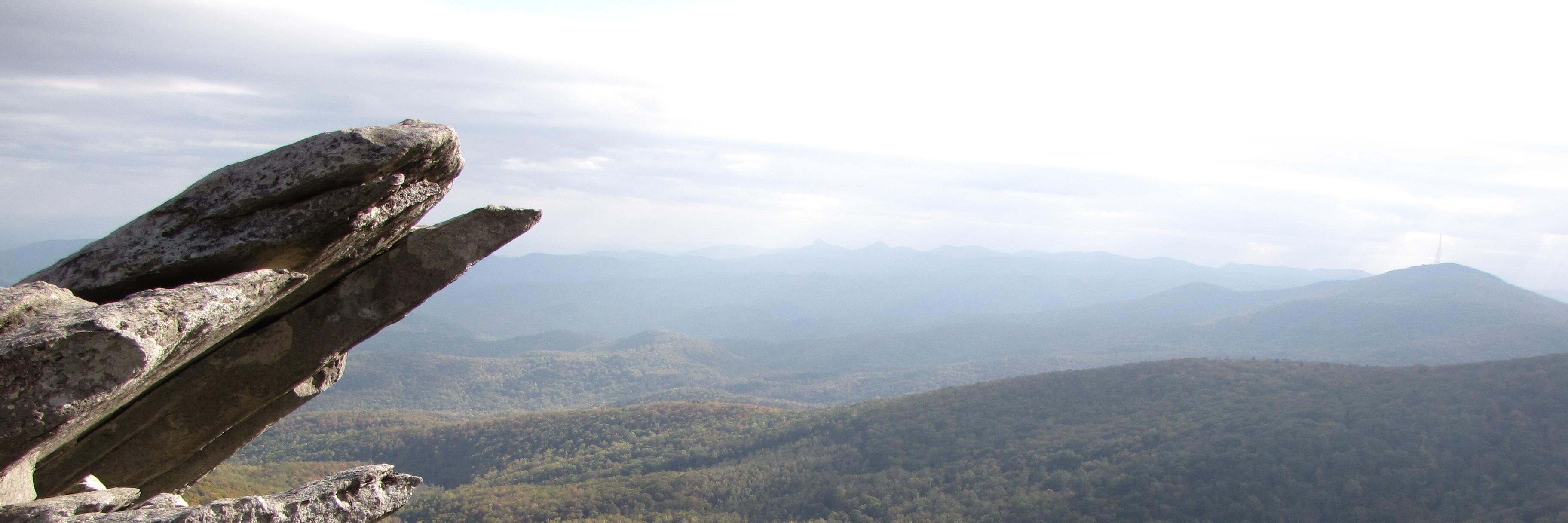 Shelley Bainter banner