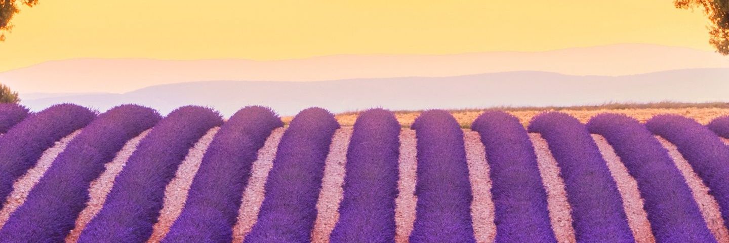 paudel25's profile banner image
