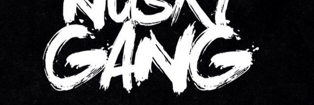 aaamos300's profile banner image