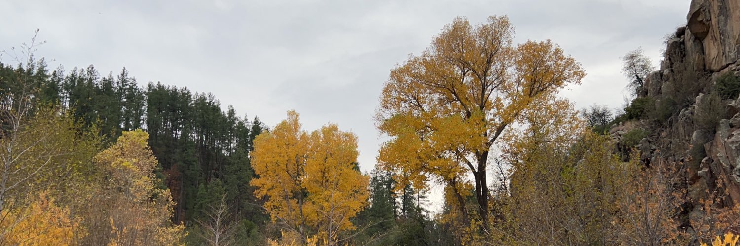 beccayocum's profile banner image