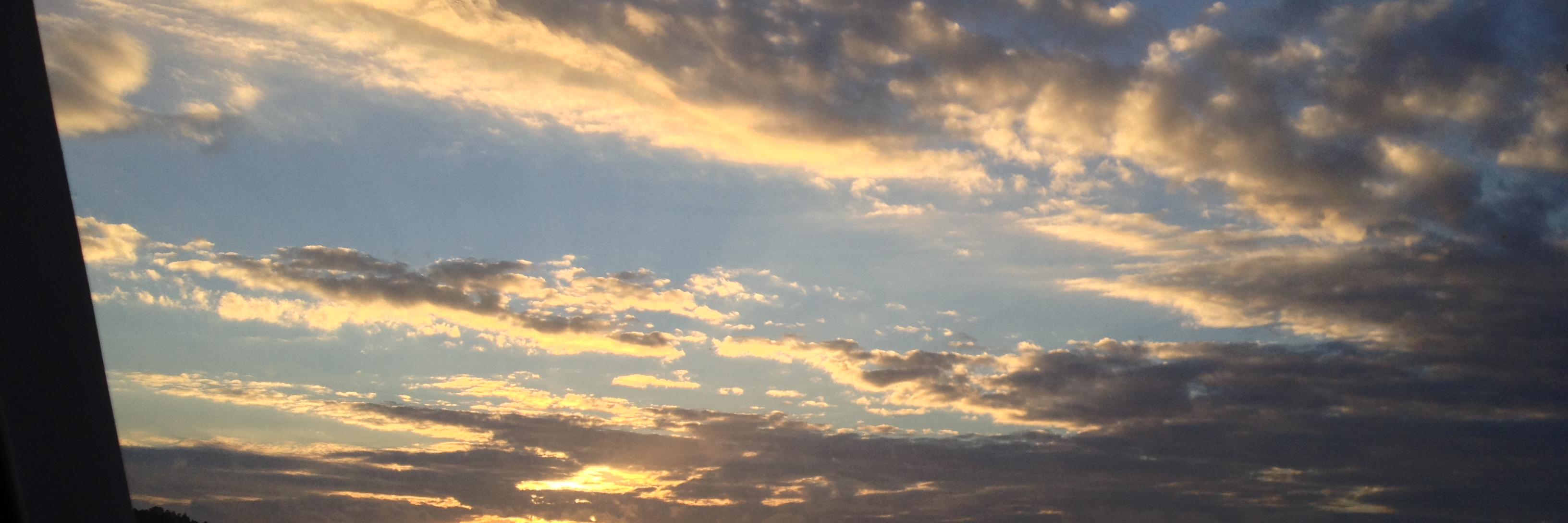 gescherrer's profile banner image
