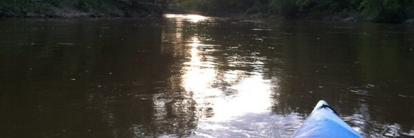 Sweetlewed Profile Banner