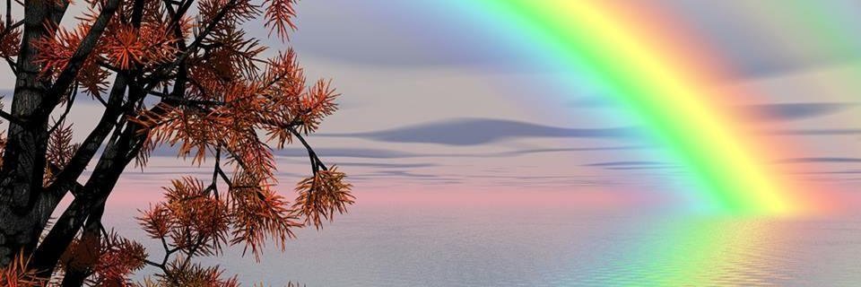 dario62bs's profile banner image