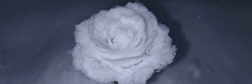 LTWCosmetics's profile banner image