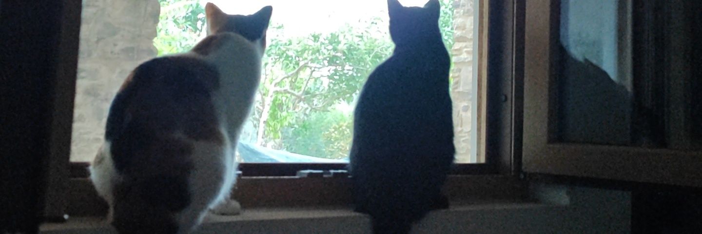 ⭐~L~🏴‍☠️ banner