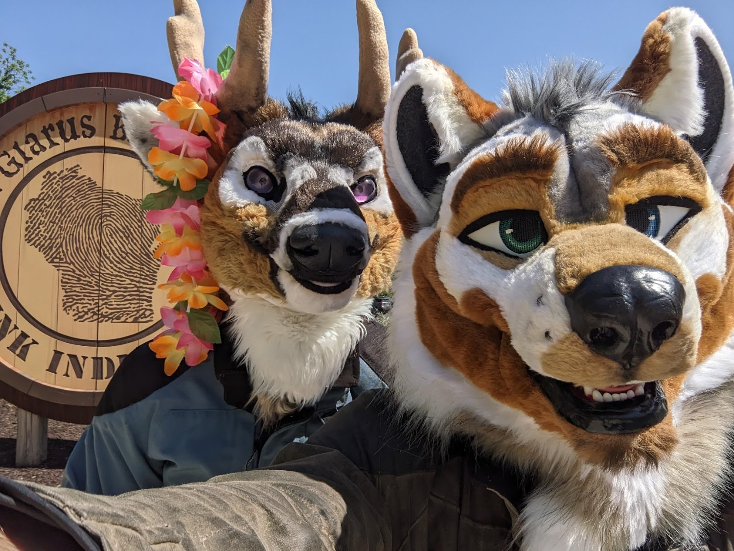 AislingFluff's profile banner image
