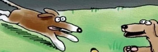 DogeStyle_coin's profile banner image