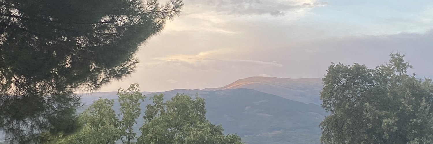 Adrián Alegre banner