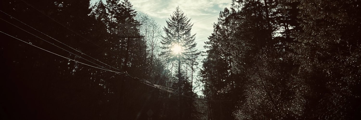 David A. Robertson banner