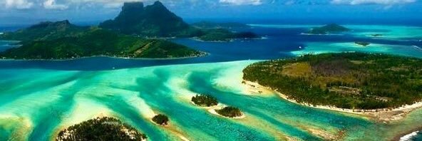 Jayne Brownridge banner