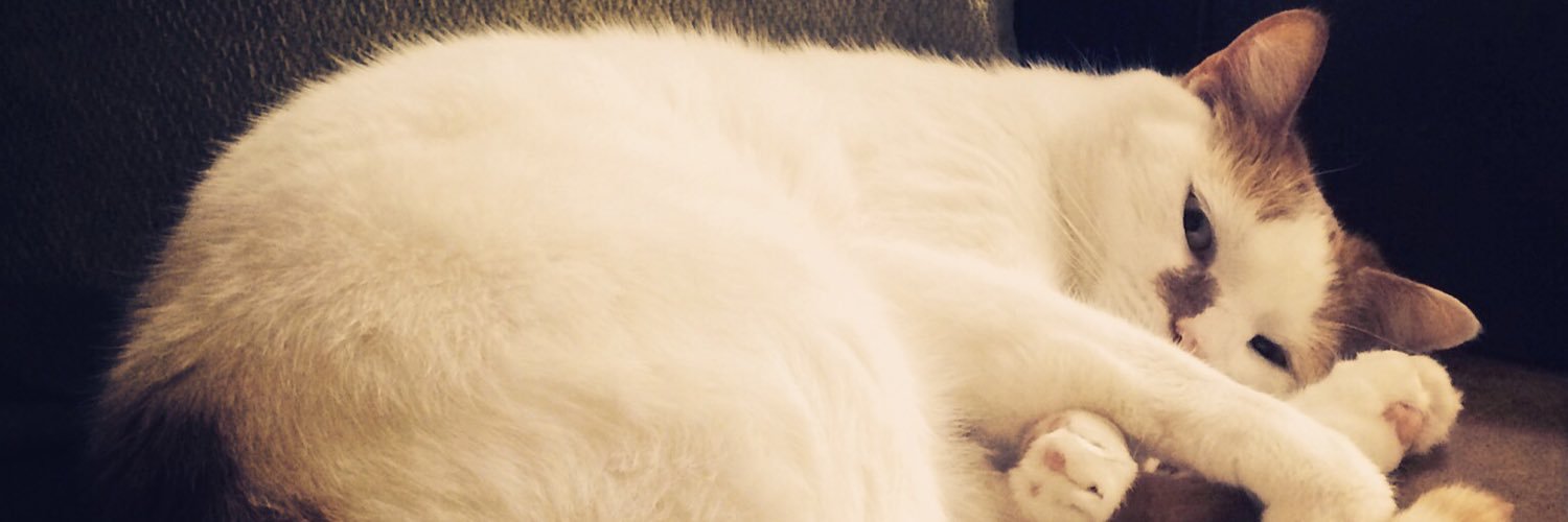MarvellousMel's profile banner image
