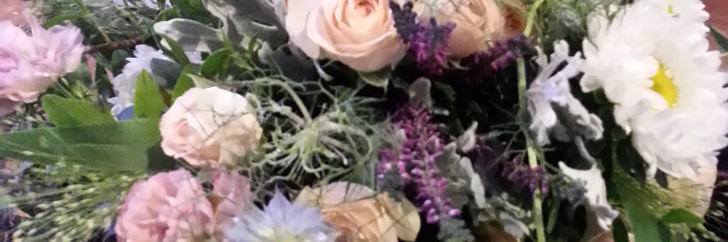 DanieSanders's profile banner image