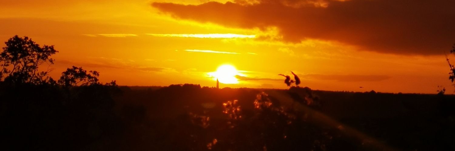 MADUBUS's profile banner image