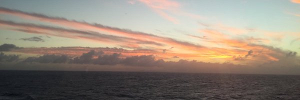 monicamutter Profile Banner