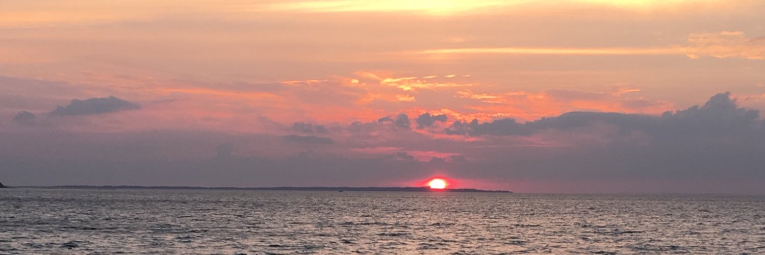 Heather Wyatt banner