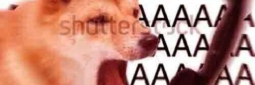 coleraythefirst's profile banner image