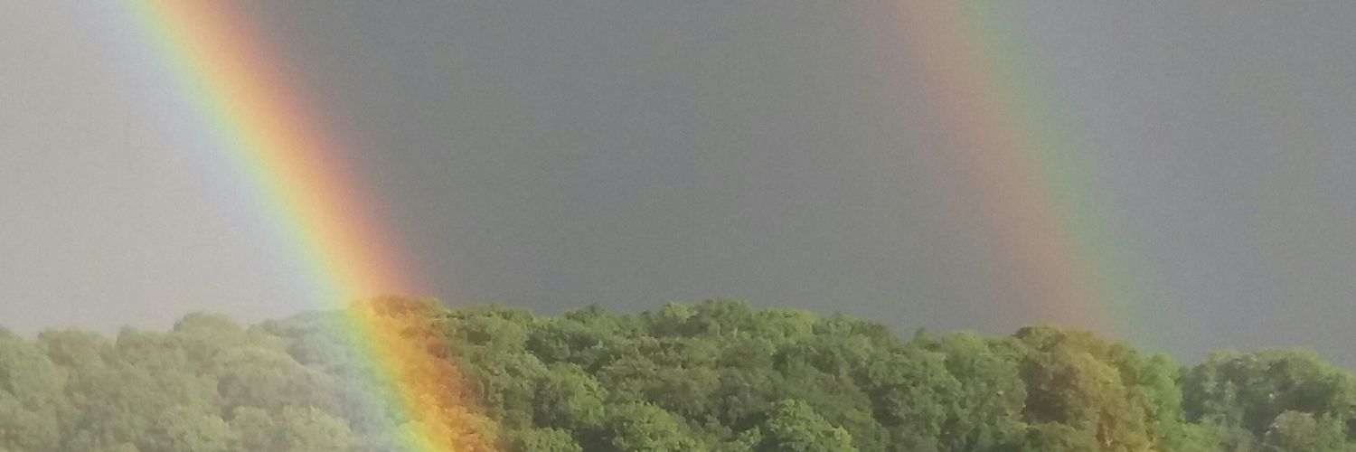 elf_herself's profile banner image