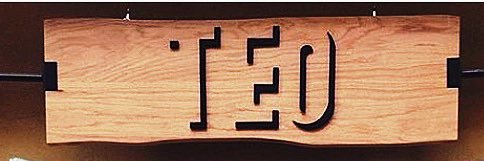 TEO banner