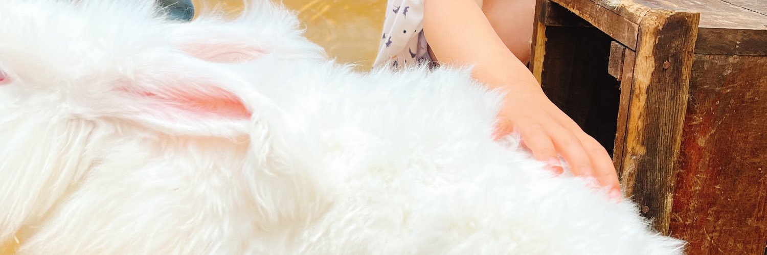 botti08's profile banner image
