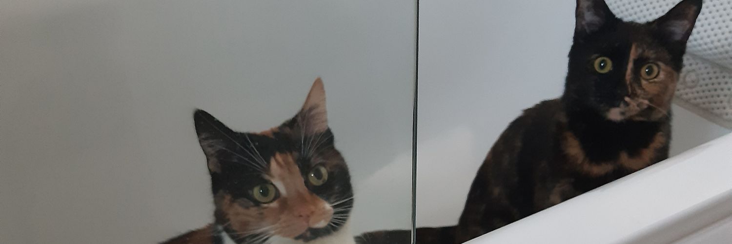 ISaidAye's profile banner image