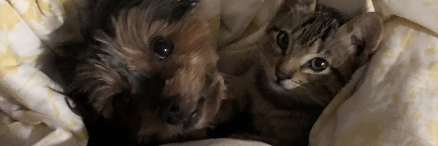 bifkkk's profile banner image