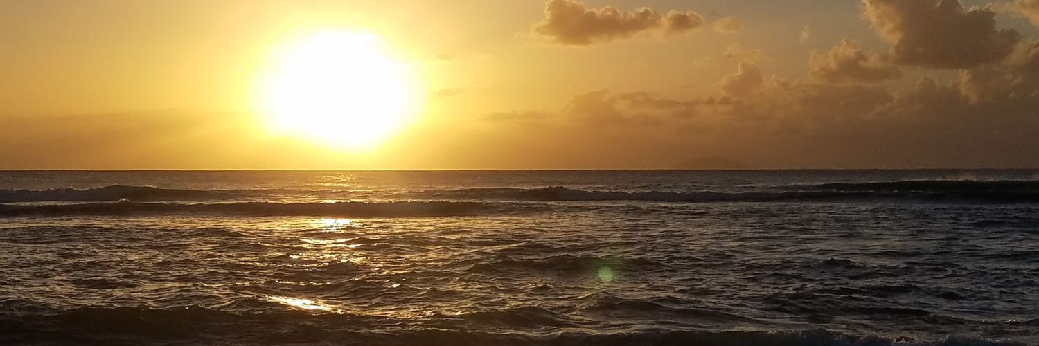 LOUISKOEPKE's profile banner image