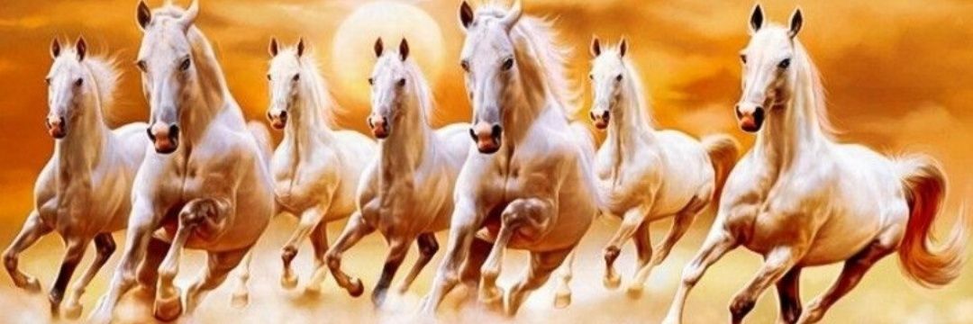 ranavirender's profile banner image